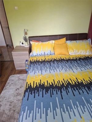 Dambovita - 2 Camere - Etaj intermediar - Decomandat - Centrala proprie - imagine 8