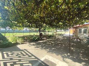 Casa cu 4 camere si gradina 4000m2 - imagine 3