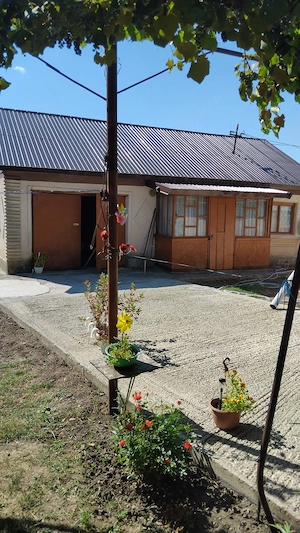 Casa cu 4 camere si gradina 4000m2 - imagine 6