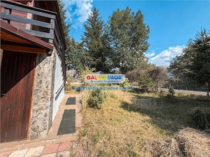 Casa Vacanta Bran 1 Km Castelul Bran - imagine 7
