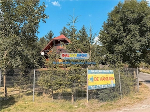 Casa Vacanta Bran 1 Km Castelul Bran - imagine 13