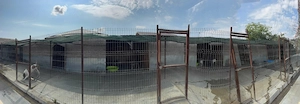 COLABORARE-ajutor animale, Giurgiu,sat Vlașin!!!