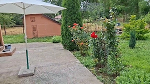 Casă de vânzare, com. Axintele sat Frumușica jud.Ialomița, 60 km de București - imagine 5
