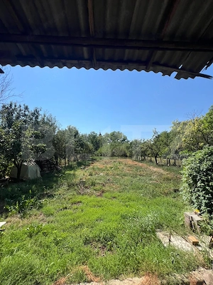 Casa de vanzare, 100 mp, teren 1.385 mp, zona Gănești  - imagine 9