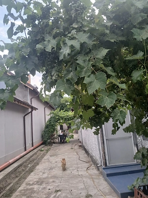 Casă de vînzare în comuna Poroschia sat Calomfirești,Tel   preț 35000 euro  - imagine 5