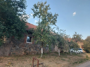 Casa de vânzare,Comuna Goruia,loc.Goruia,Caraș Severin - imagine 5