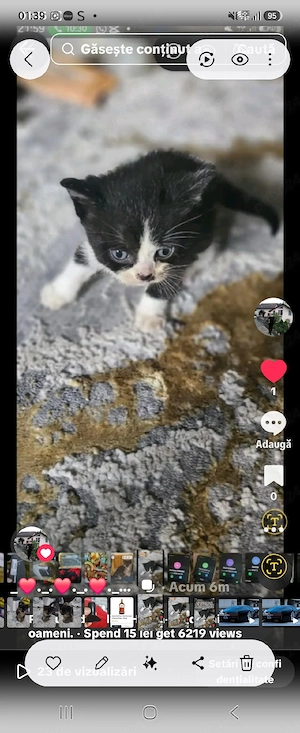 Am ramas singurel 