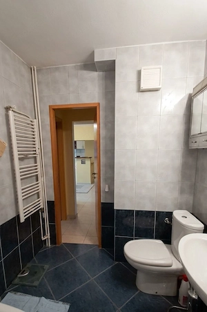 Închiriez Apartament cu 🏡 2 camere, Calea Moșilor, zonă centrală - imagine 7