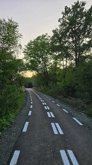 Vand teren in loc. Ulies, com. Gurasada, jud. Hunedoara - imagine 4