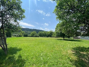 Teren 3000mp in Vadurele Vaduri Neamt - imagine 3