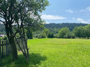 Teren 3000mp in Vadurele Vaduri Neamt - imagine 2