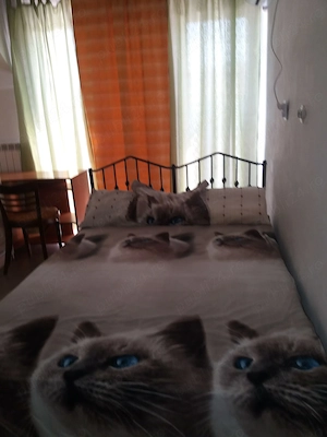 inchiriez garsoniera in Timisoara, zona Plopi, linia E8  - imagine 3