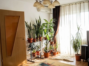 Închiriere  Apartament 2 camere, 52 mp, decomandat, lângă McDonald’s Dristor - imagine 3