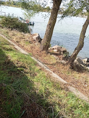Vand Teren Delta Dunarii in Crisan, Tulcea - imagine 3