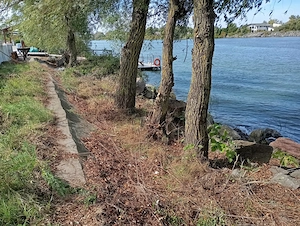 Vand Teren Delta Dunarii in Crisan, Tulcea - imagine 6