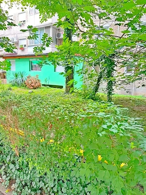 Zona Dacia - Apartament cu 3 camere parter - imagine 18