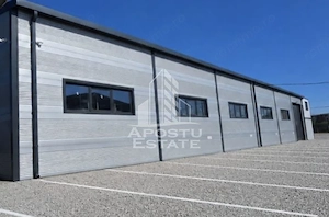 Hala si birouri de inchiriat, 600 mp , zona Mehala - imagine 3