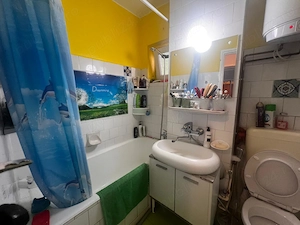apartament 3 camere  etaj 1 lebăda pitta5colturi  - imagine 7