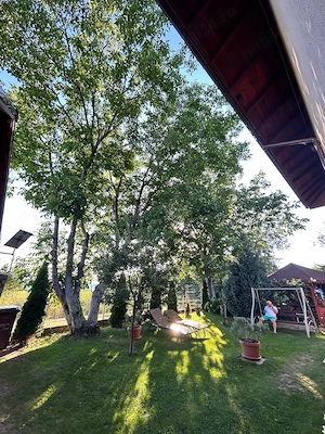 Casa 4 camere si teren de 1000 mp, garsoniera separata, foisor,carport - imagine 9