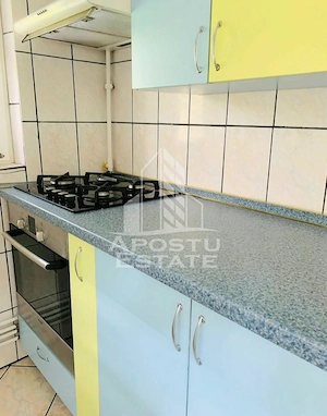 Apartament cu 2 camere si living la parter Calea Lipovei - imagine 7