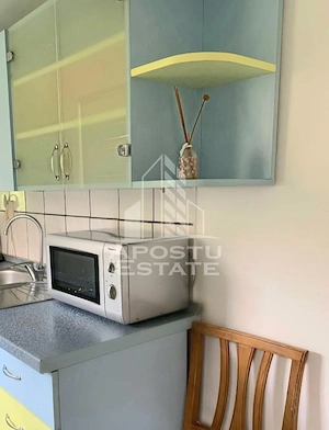 Apartament cu 2 camere si living la parter Calea Lipovei - imagine 8