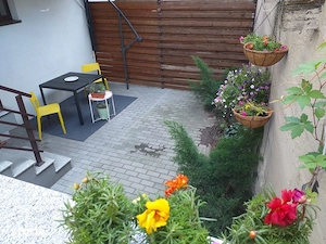 stefan cel mare obor fainari cu gradina - imagine 13