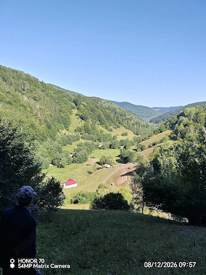 Vânzare teren rupt din rai - Apuseni  - imagine 5