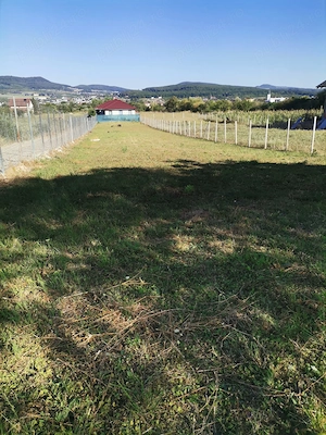 Teren de vanzare 12 ari, strada Valea Ghinzii, Bistrita - imagine 4