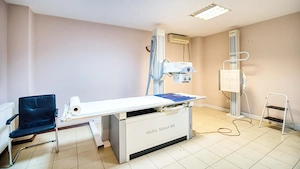 Vila interbelica emblematica de vanzare in centrul Timisoarei - imagine 16