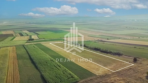 Teren extravilan | 19.000 mp | Ghidfalău - imagine 10