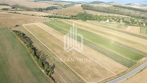 Teren extravilan | 19.000 mp | Ghidfalău - imagine 11