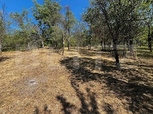 Casa individuala, 97 mp, 2500 mp teren, zona Nadasu - imagine 9