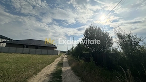 Teren intravilan 530 Mp | Albota - imagine 3