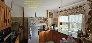 Proprietate deosebita in Almas- Casa p+M, echipata complet, teren 951 mp, livada pe rod - imagine 2