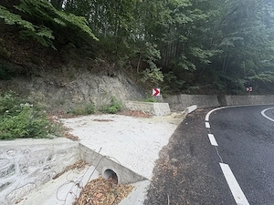 De Vanzare teren 7500m2 o parte livada, parte faneata in Herculane langa baraj - imagine 2