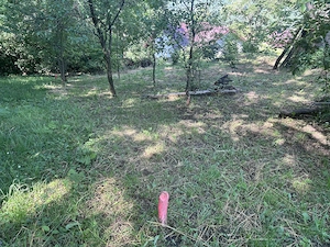 Teren intravilan 577 mp în Nistorești, Prahova - imagine 6