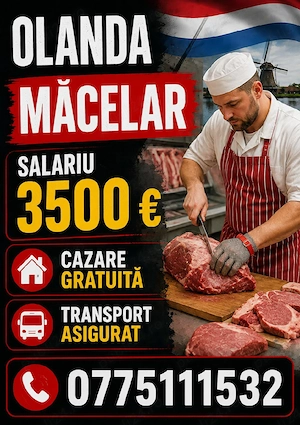 Locuri de munca in strainatate  - imagine 4