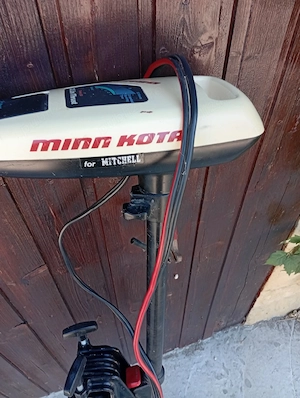 motor electric pt barca 