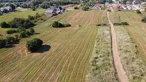 Teren intravilan 10.789 mp în Snagov - imagine 3