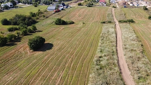 Teren intravilan 10.789 mp în Snagov - imagine 4