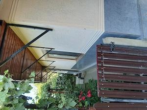 Casa vânzare sat vladia comuna Dragomirești  jud Vaslui  - imagine 4