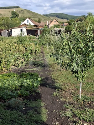 Casă pe un nivel în Ernei – 4 camere, panouri fotovoltaice și teren de 1.390 mp - imagine 17