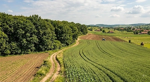 Vand teren agricol
