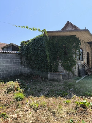 Vind casa in comuna Brateiu - imagine 2