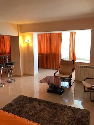  Apartament 1 camera cu vedere panoramică la Dunăre - imagine 5