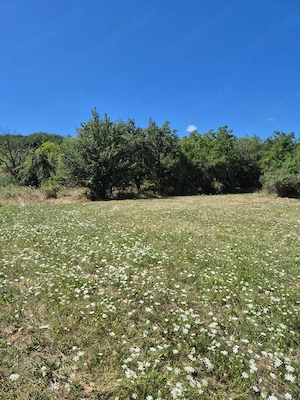 Teren panoramic 5.805 mp în Ciofrângeni, Argeș   Natură, liniște și acces facil - imagine 2
