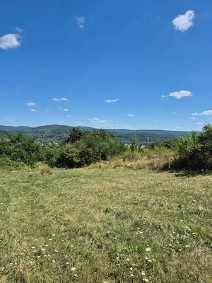 Teren panoramic 5.805 mp în Ciofrângeni, Argeș   Natură, liniște și acces facil - imagine 3