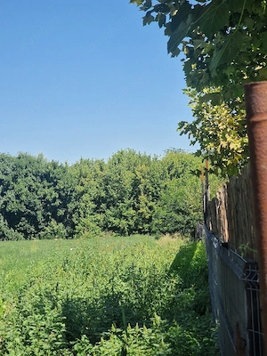 Teren intravilan de vanzare Delta Dunării - Patlageanca  - imagine 2