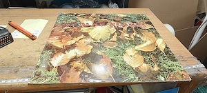 Vinil Nicolae Florei - Romante