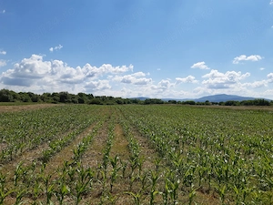 Teren agricol  Podu Oltului la limita UAT Harman si UAT Prejmer (Lunca Calnicului)  1,5 euro mp